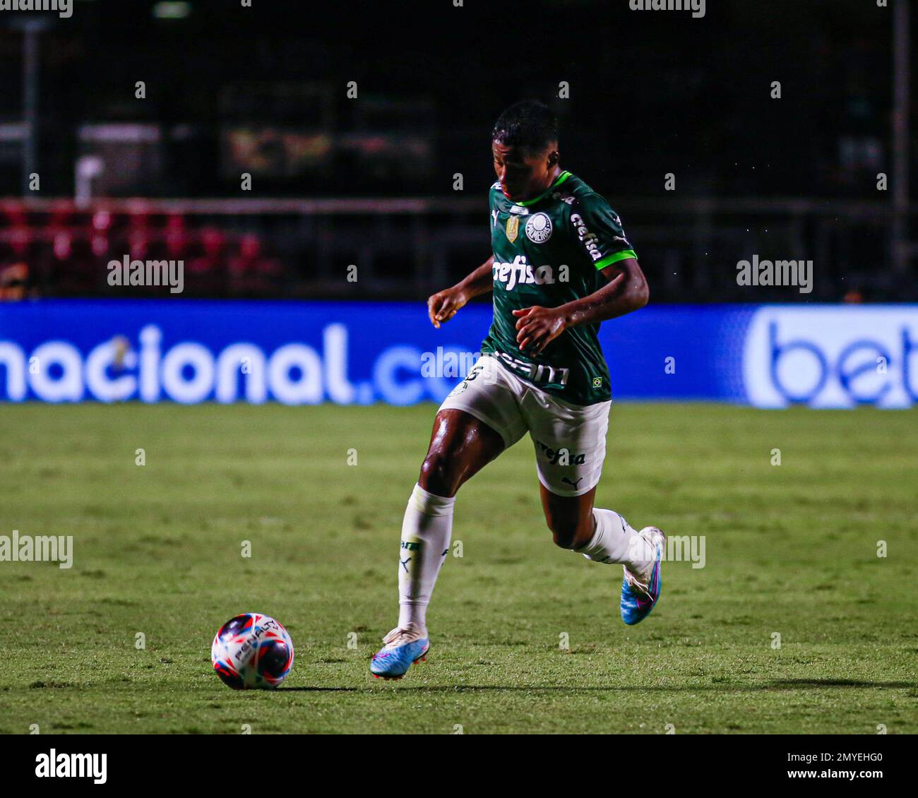 SÃO PAULO, SP - 04.02.2023: PALMEIRAS X SANTOS - Rony in the match between  Palmeiras X Santos, valid for the 6th round of the Campeonato Paulista de  Futebol, Série A, 2023, held