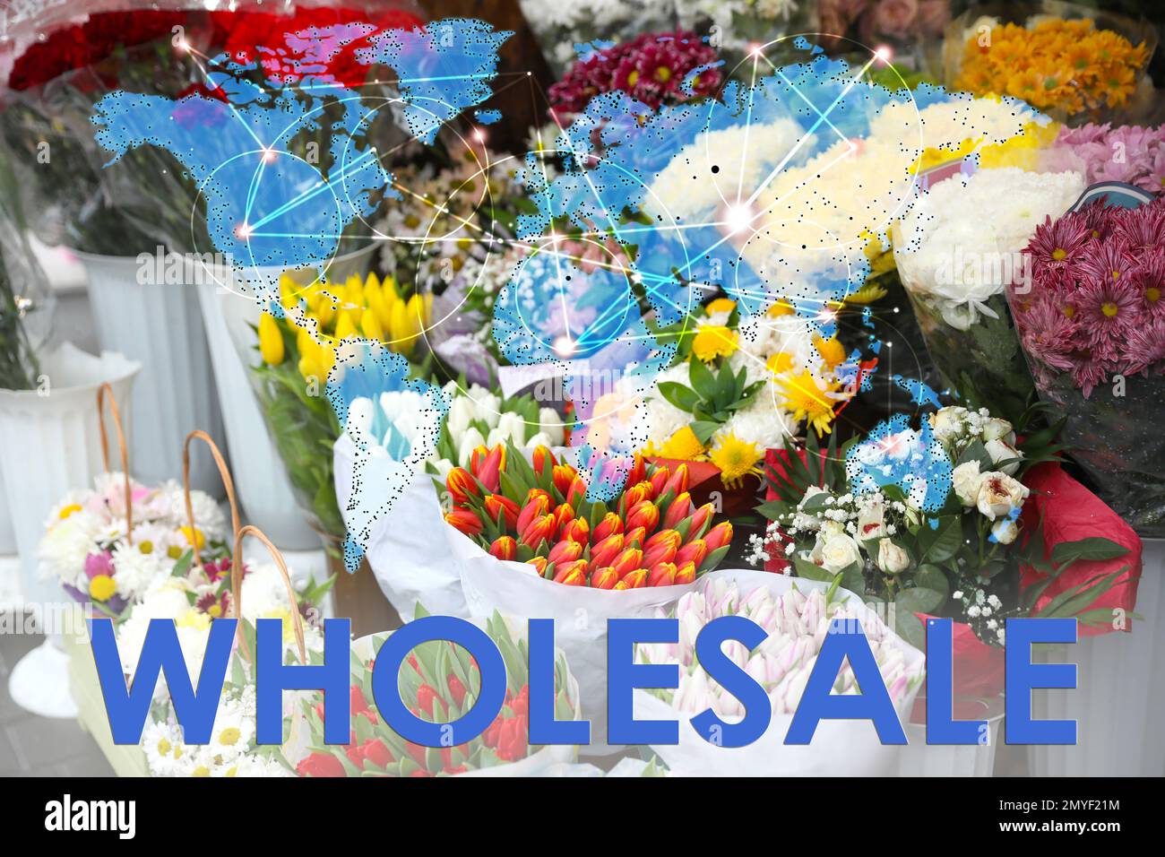 Wholesale business. World map and assortment of flowers on background Stock Photo