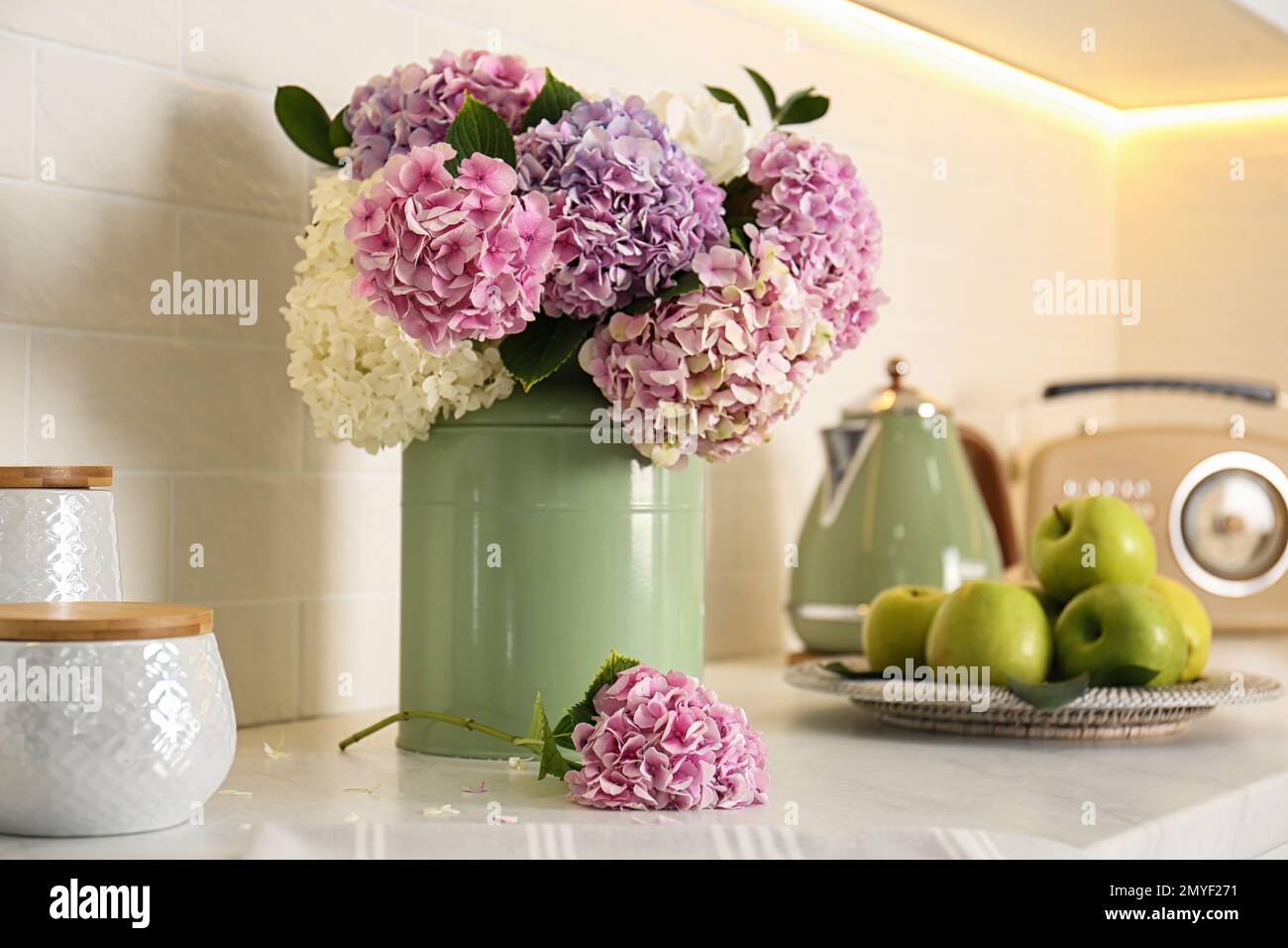 Beautiful hydrangea flowers in green can on light countertop, closeup Stock Photo