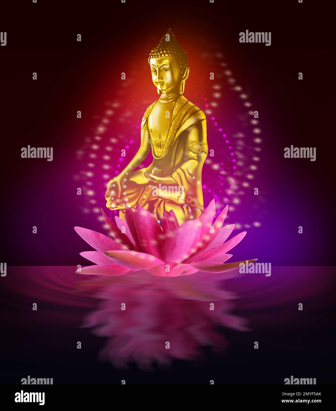 Buddha figure in lotus flower on water Stock Photo Alamy