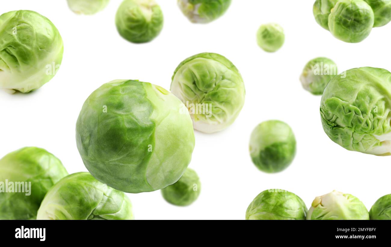 Fresh Brussels sprouts falling on white background Stock Photo Alamy