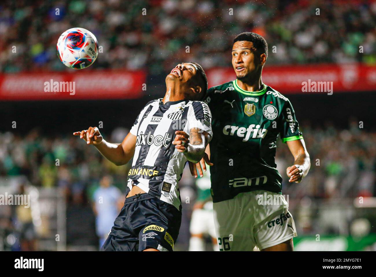 SÃO PAULO, SP - 04.02.2023: PALMEIRAS X SANTOS - Rony in the match between  Palmeiras X Santos, valid for the 6th round of the Campeonato Paulista de  Futebol, Série A, 2023, held
