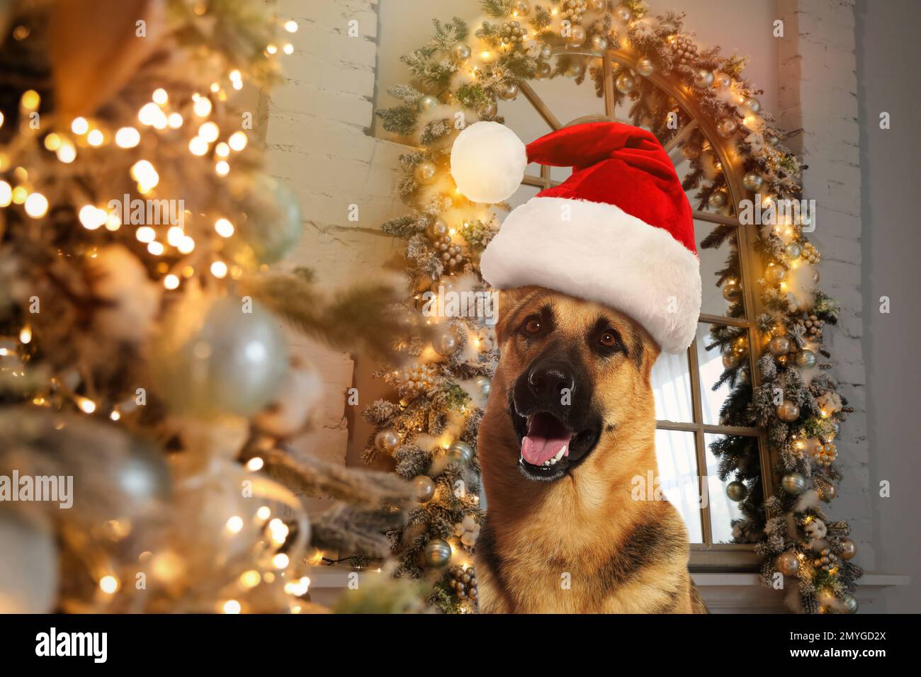 German shepherd christmas sales