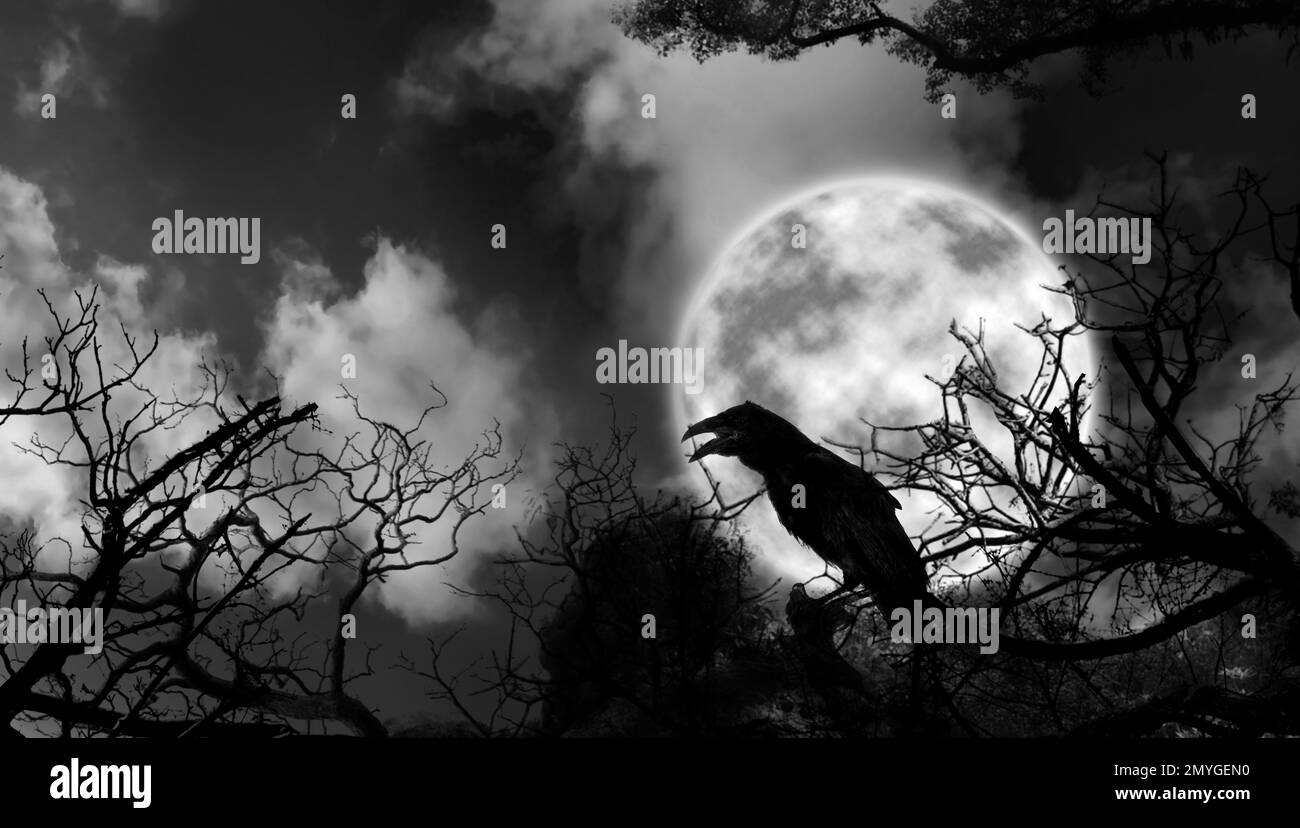 Raven symbol Black and White Stock Photos & Images - Alamy