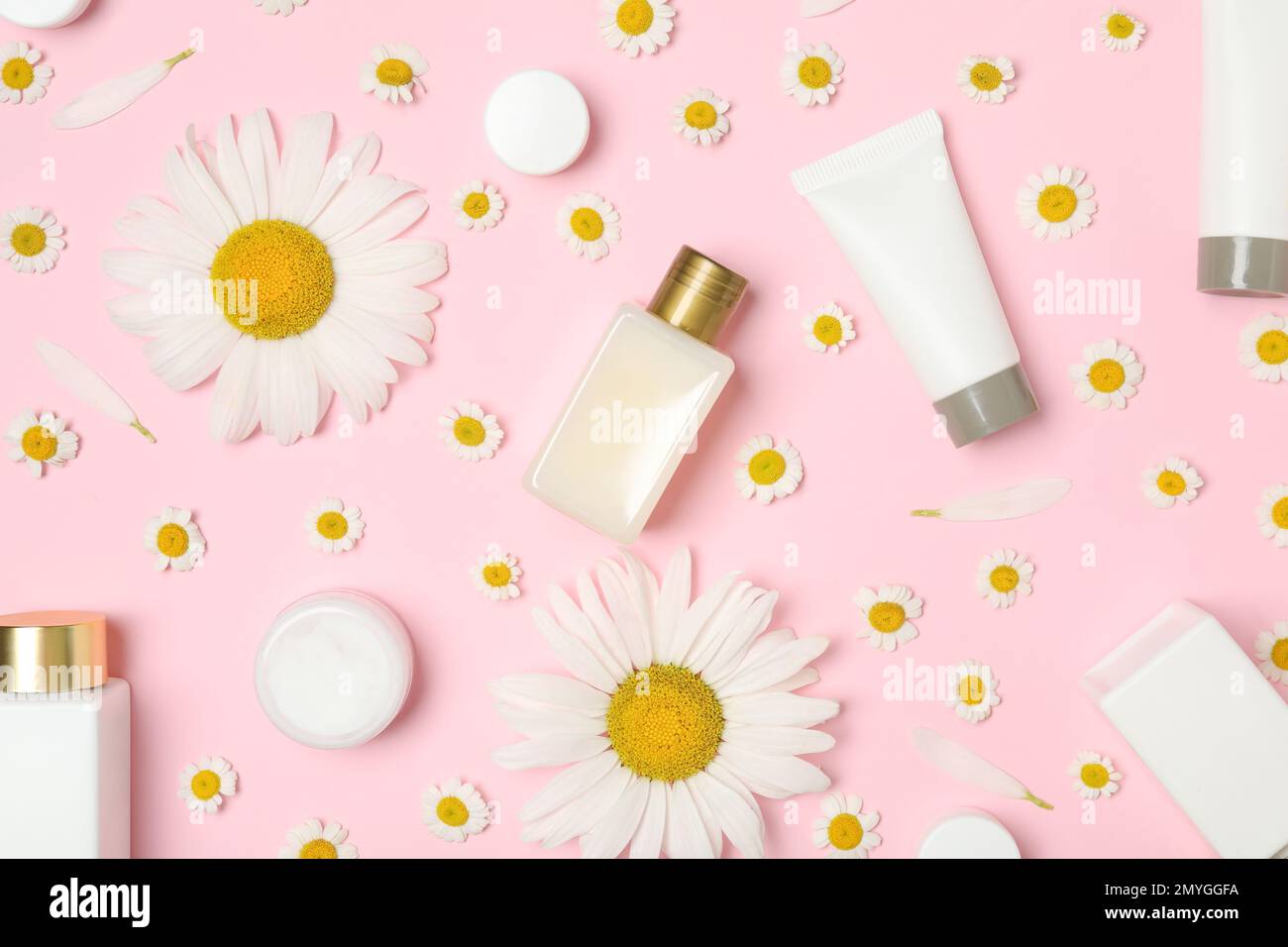 Flat lay composition with chamomiles and cosmetic products on pink ...