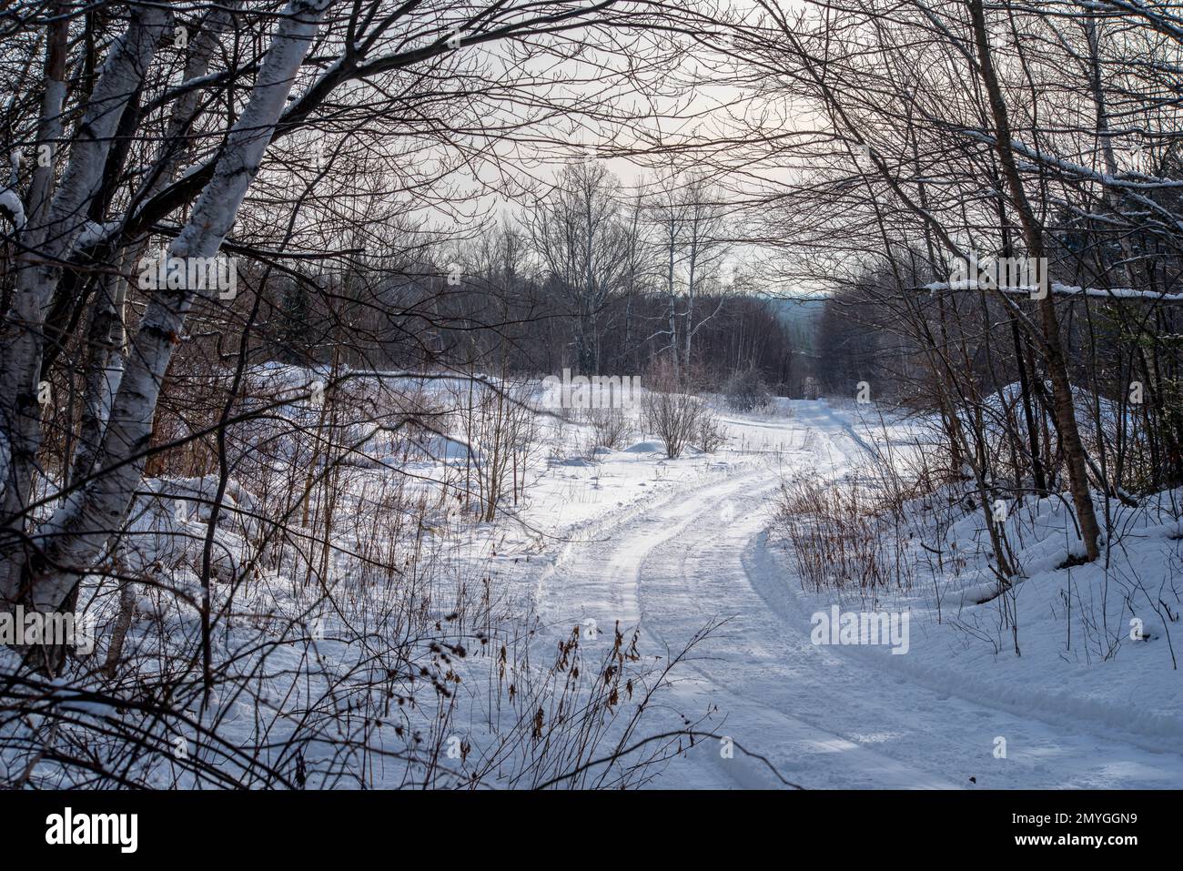 A winter groomed trail in New Brunswick Stock Photo