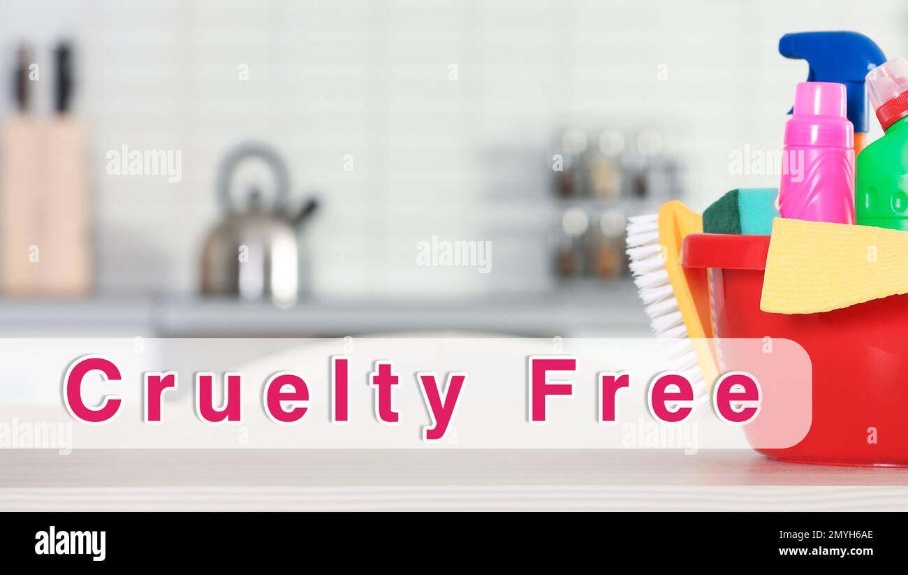 Cruelty free concept. Cleaning product not tested on animals near sink in  kitchen Stock Photo - Alamy