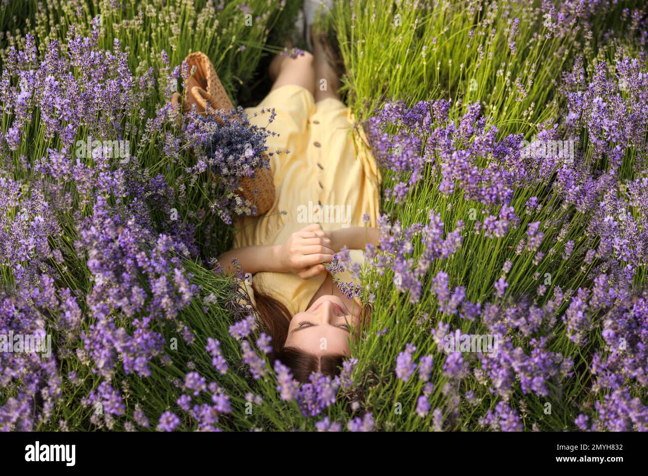 Young woman lying in lavender field on summer day Stock Photo Alamy