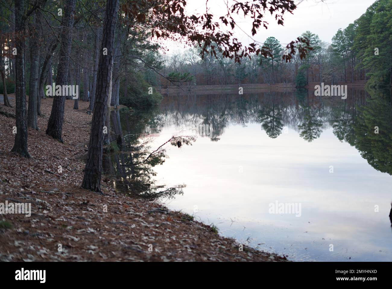 East texas hi-res stock photography and images - Alamy