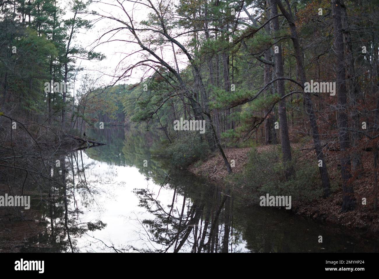 East texas hi-res stock photography and images - Alamy