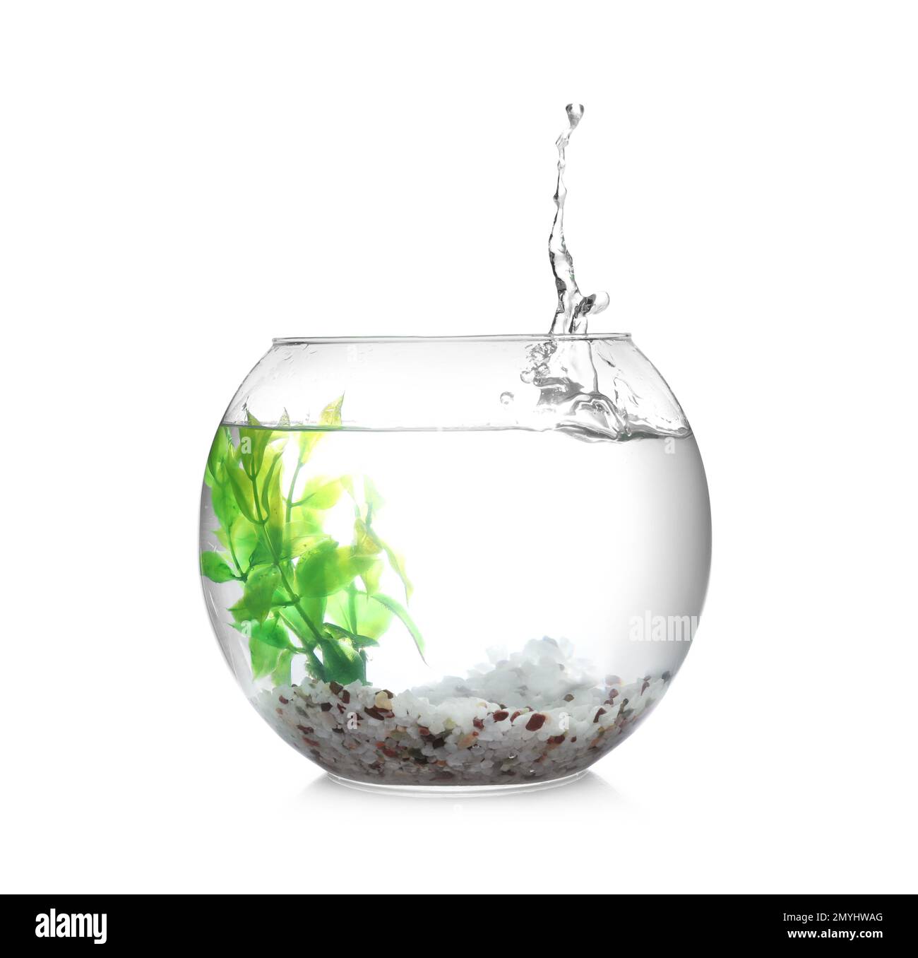 Splash of water in round fish bowl with decorative plant and