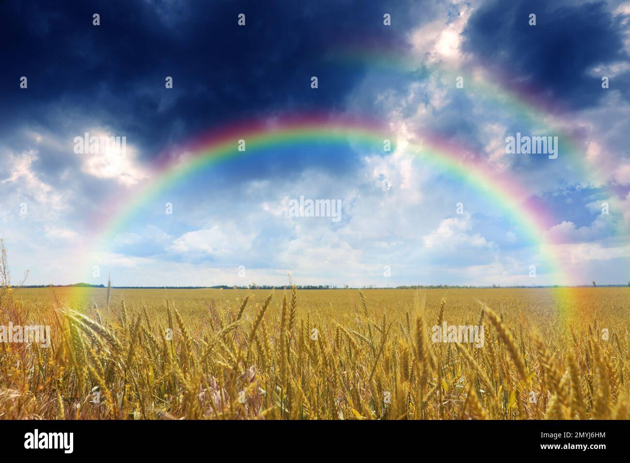 Double rainbow over grain field hi-res stock photography and images - Alamy