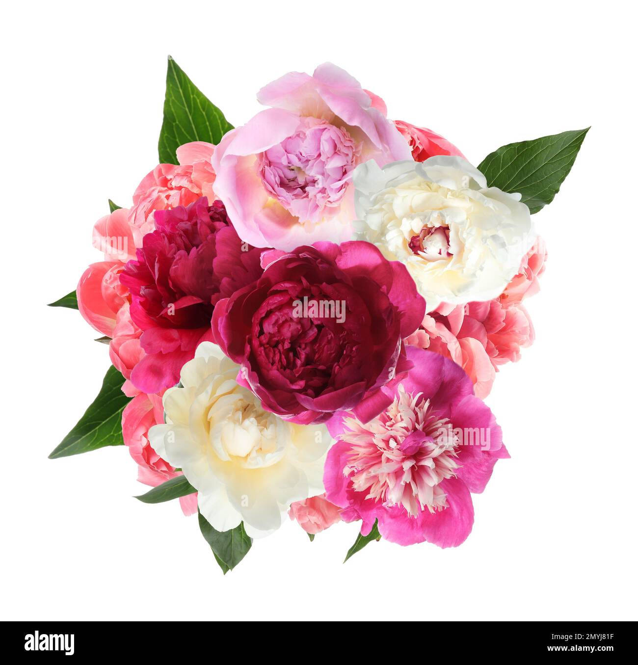 Beautiful peony flower bouquet on white background Stock Photo - Alamy