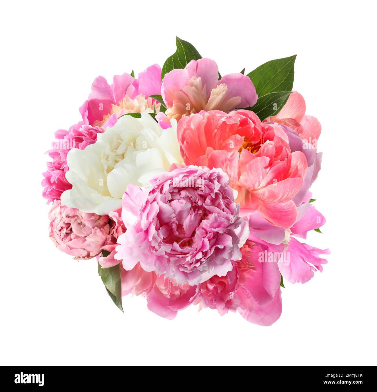 Beautiful peony flower bouquet on white background Stock Photo - Alamy