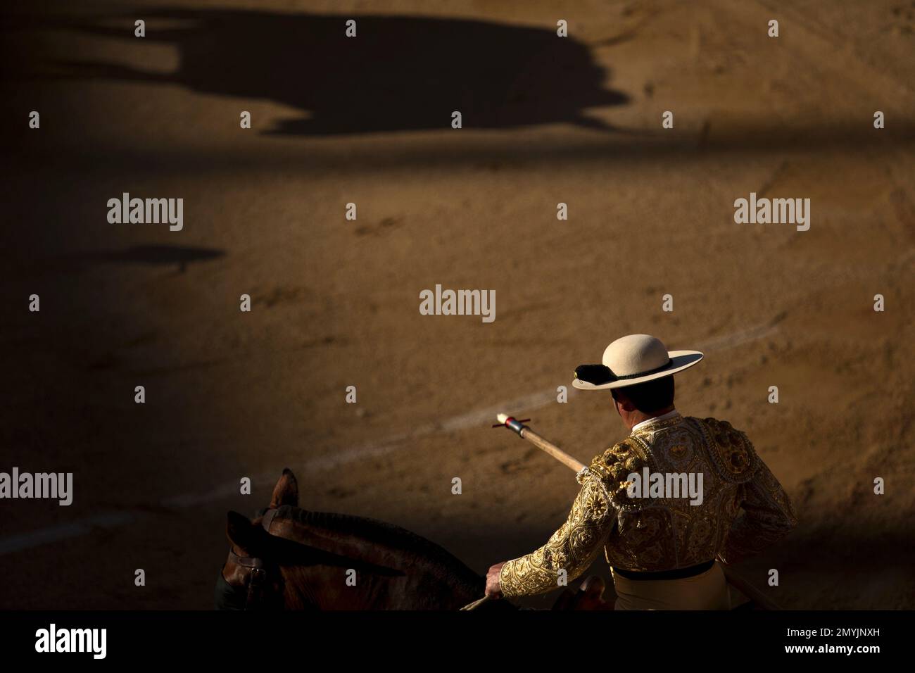 An Adolfo Martin ranch fighting bull casts its shadow on the ground ...