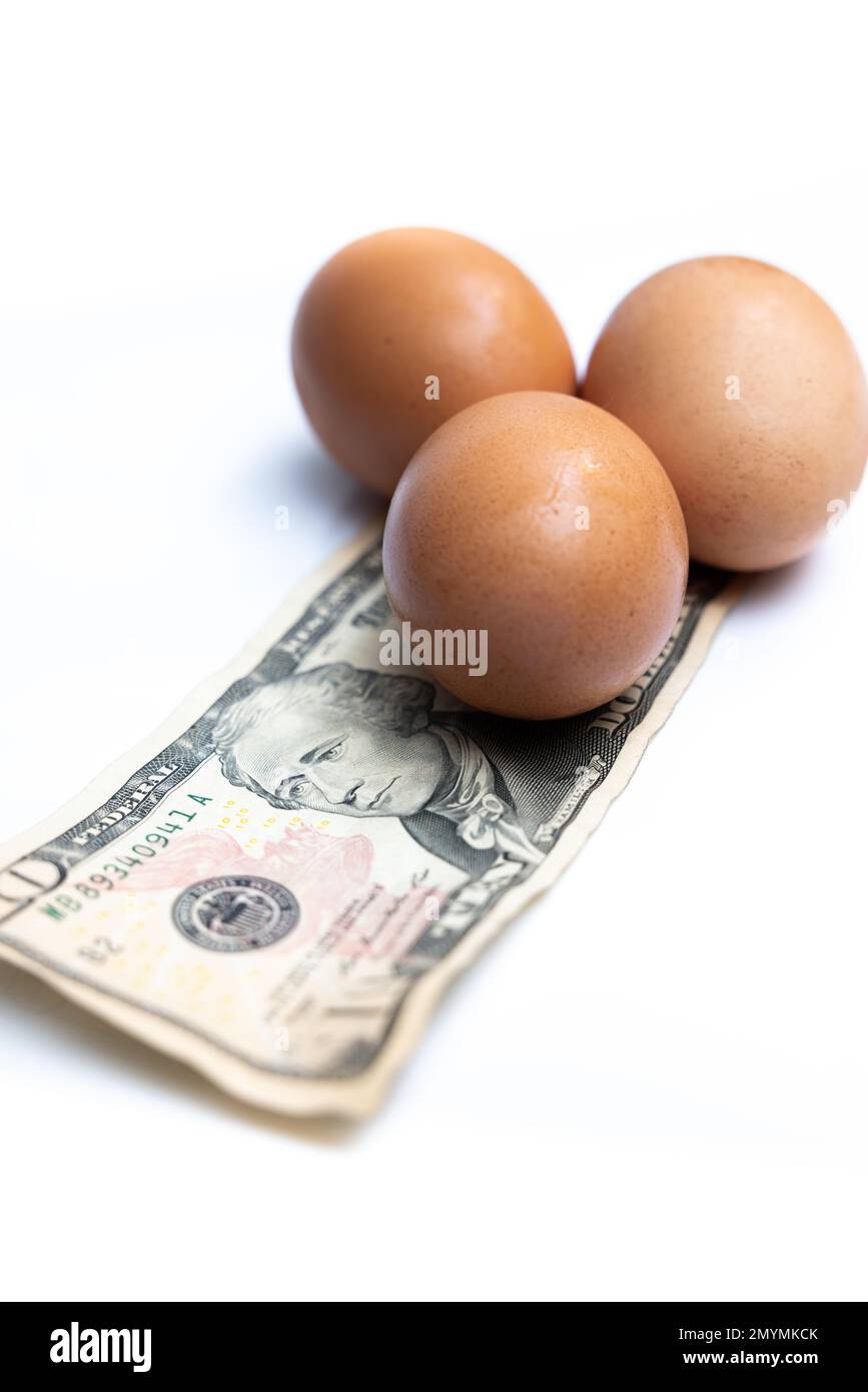 Fresh eggs on top of a 10 dollar US bill on a white background Stock