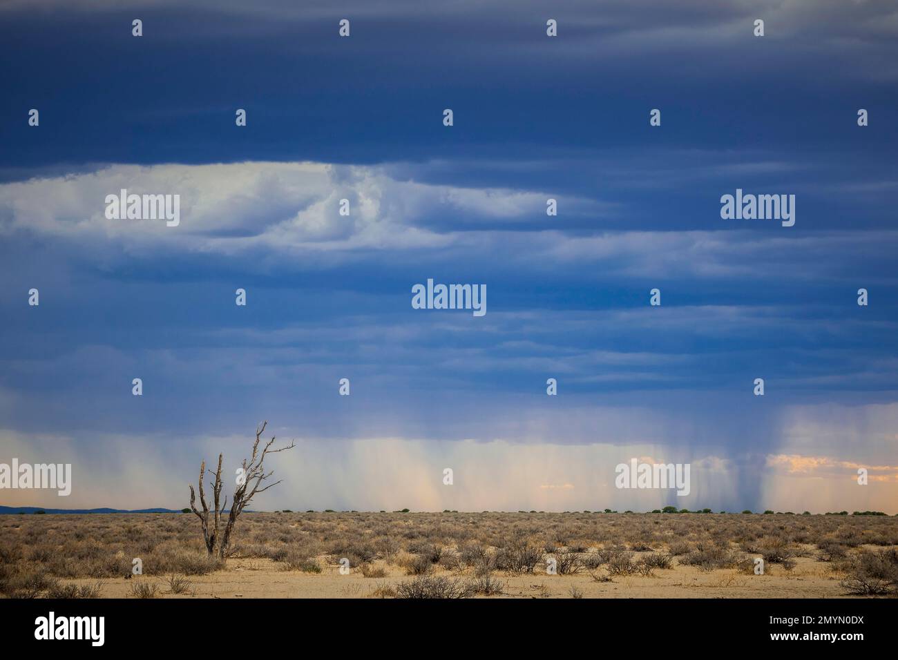 Rain over the landscape, rain clouds on the horizon, Etosha National