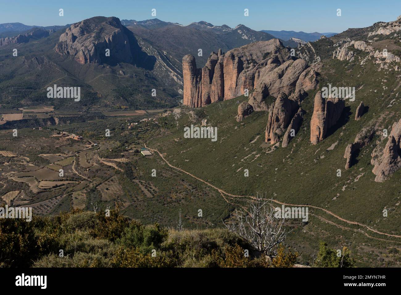 Los Mallos de Riglos, conglomerate rocks, height of the rocks 300m, paradise for climbers, province of Huesca, Aragon, southern edge of the Pyrenees, Stock Photo