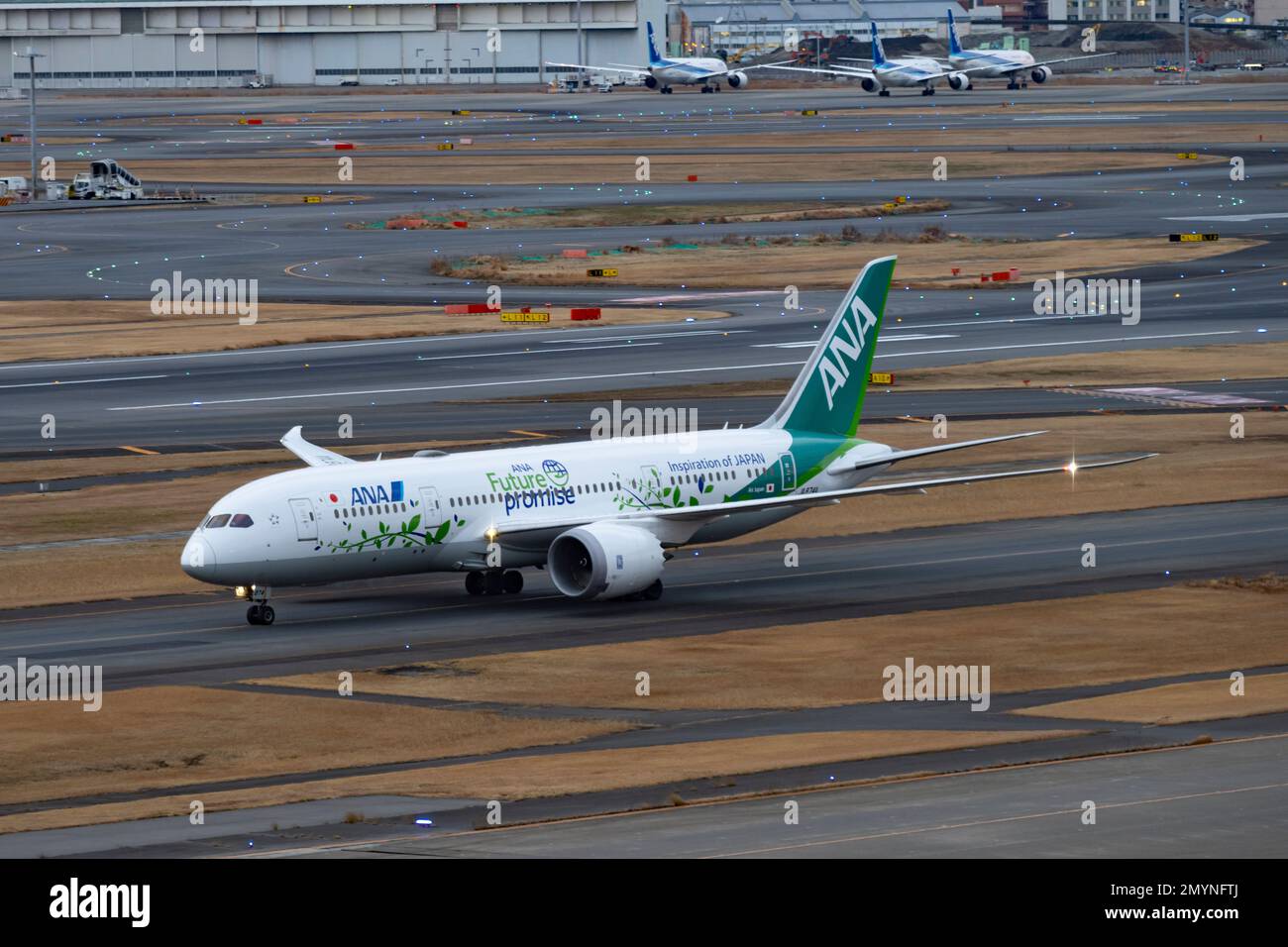 ANA B787-8 JA874A Future Promise 航空機・ヘリコプター