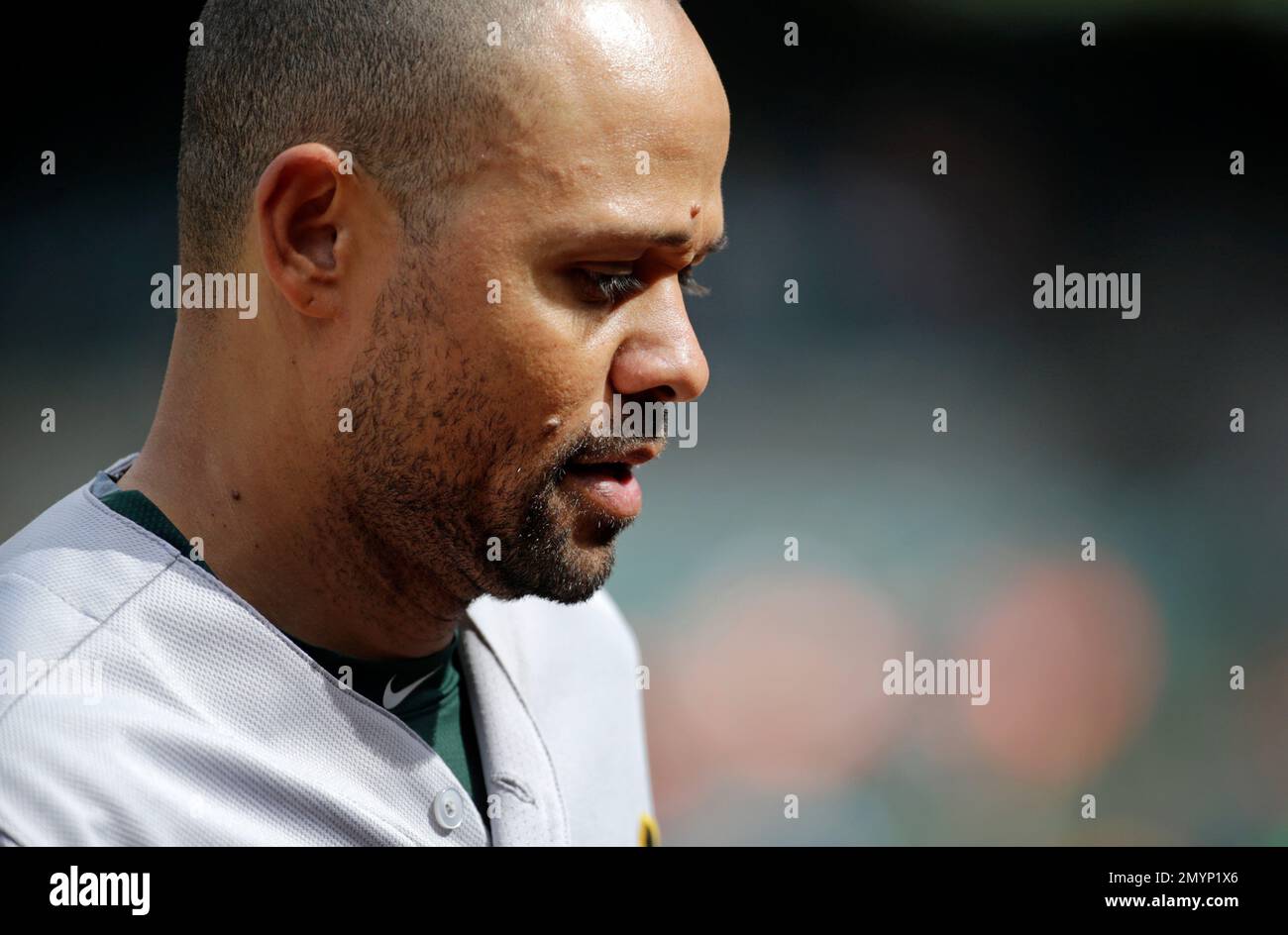 Oakland Athletics' Coco Crisp walks on the field during the first baseball  game of a doubleheader against the Baltimore Orioles in Baltimore,  Saturday, May 7, 2016. (AP Photo/Patrick Semansky Stock Photo - Alamy