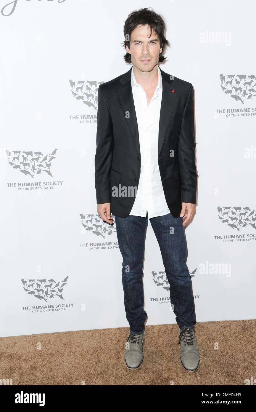 Ian Somerhalder attends "To the Rescue Saving Animal Lives" Gala and