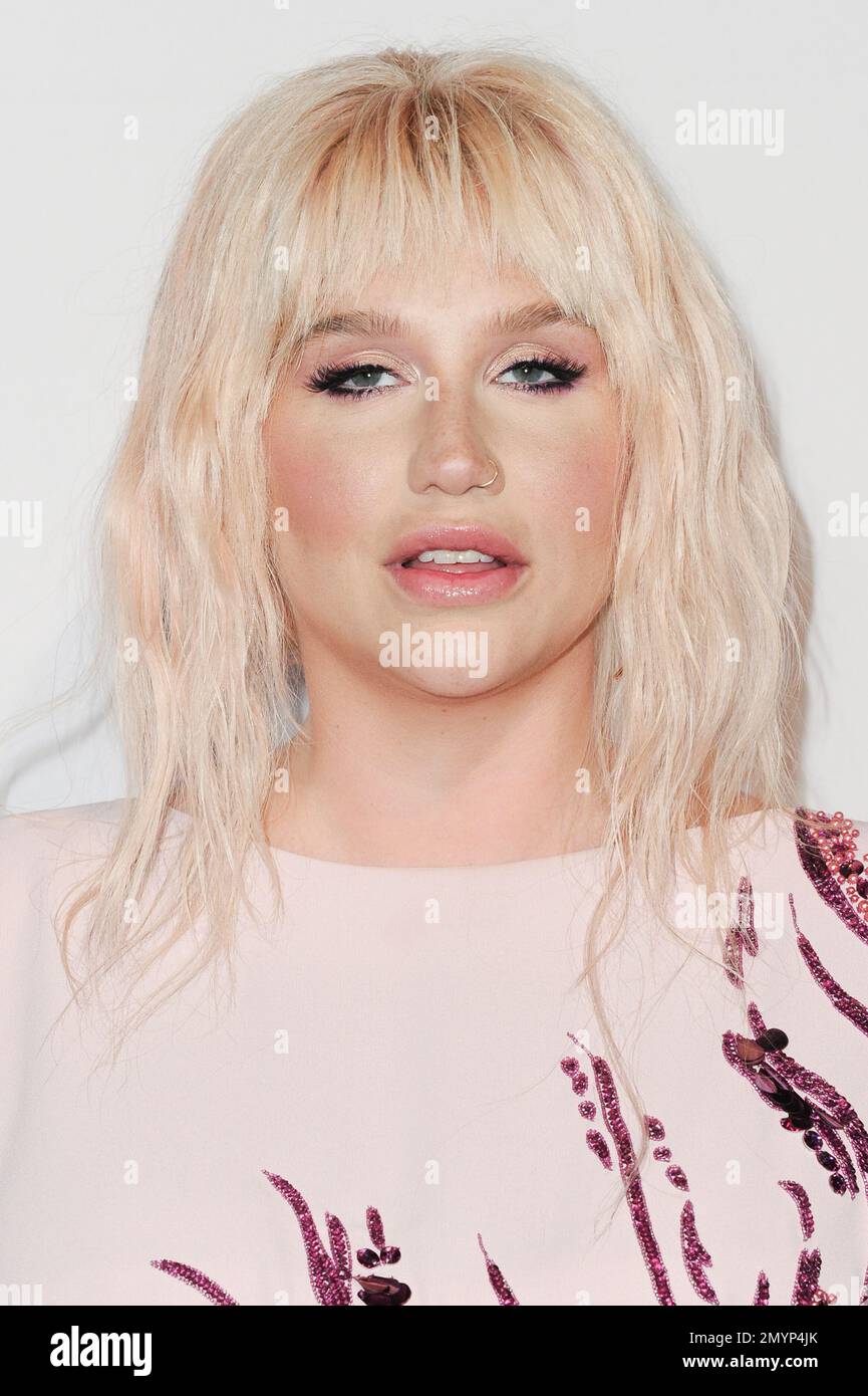Kesha attends "To the Rescue: Saving Animal Lives" Gala and Fundraiser