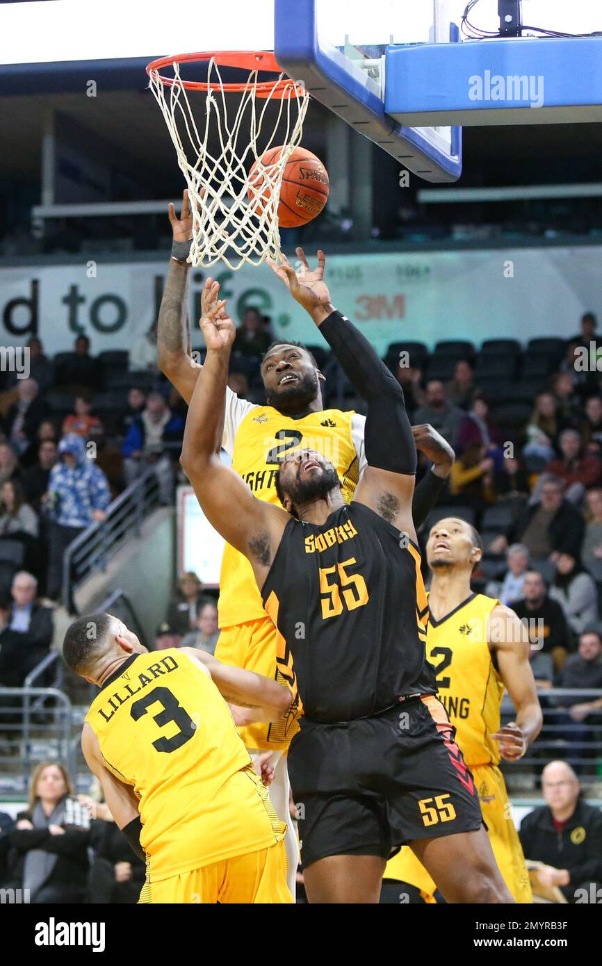 London Ontario Canada, Feb 4th 2023, The London Lightning defeat the