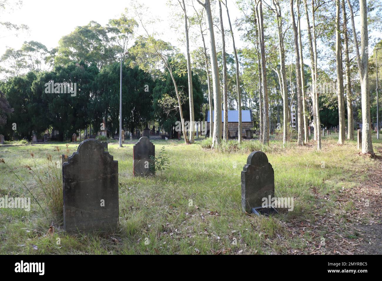 St Patrick’s Catholic Cemetery, North Parramatta Stock Photo - Alamy