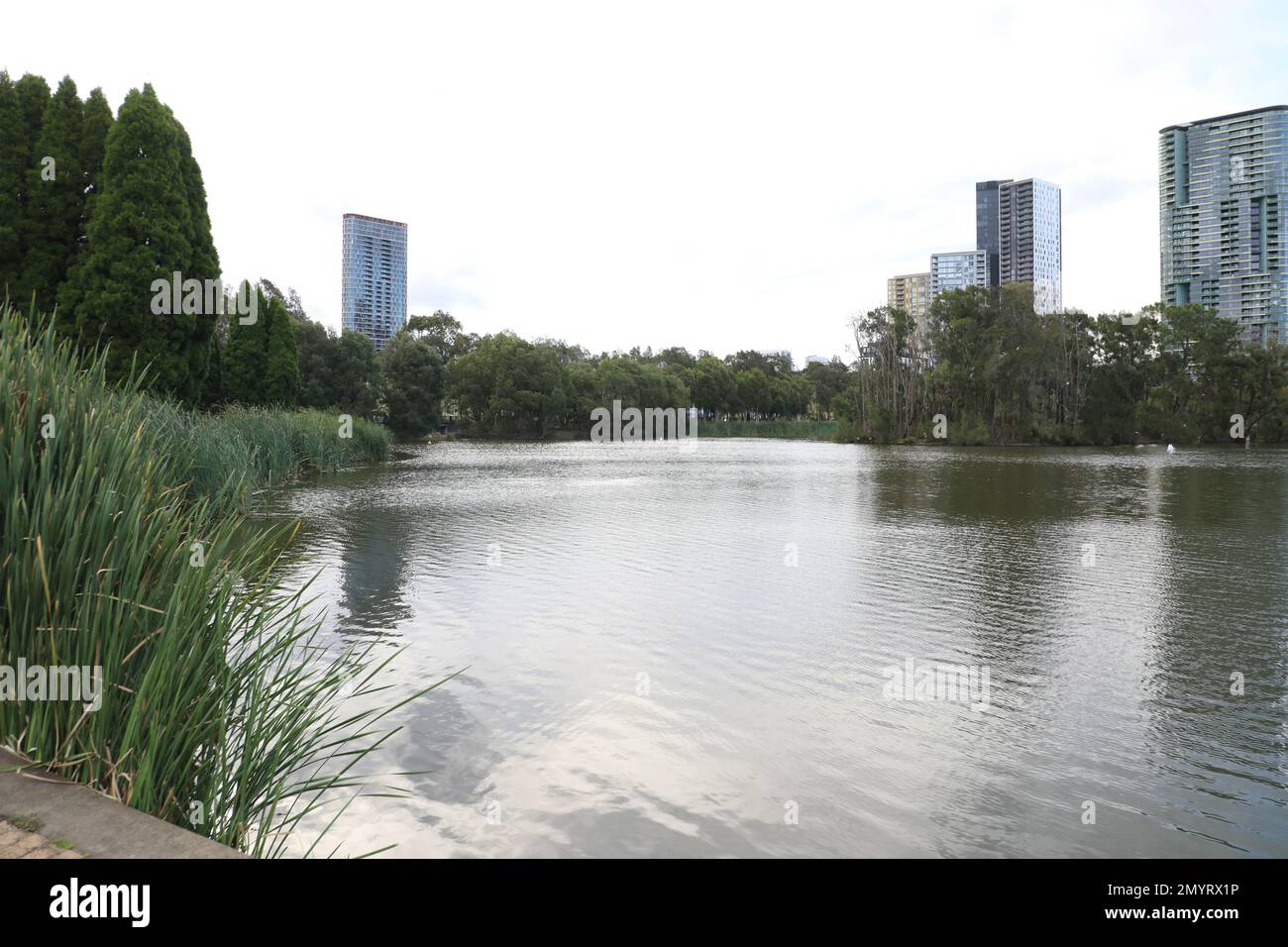 Waterview in Bicentennial Park, Sydney Olympic Park. Stock Photo