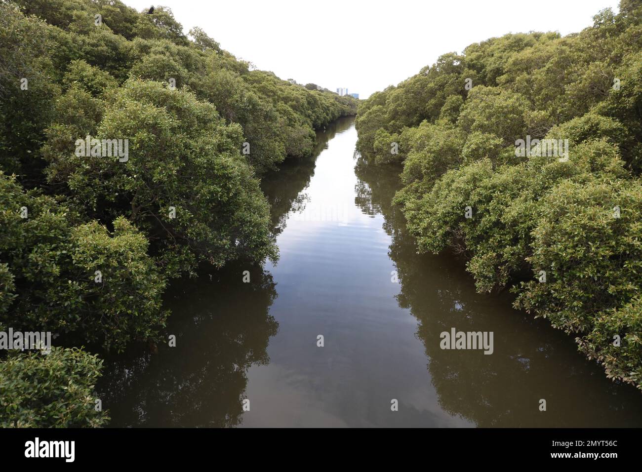 Powells Creek, Sydney Olympic Park Stock Photo