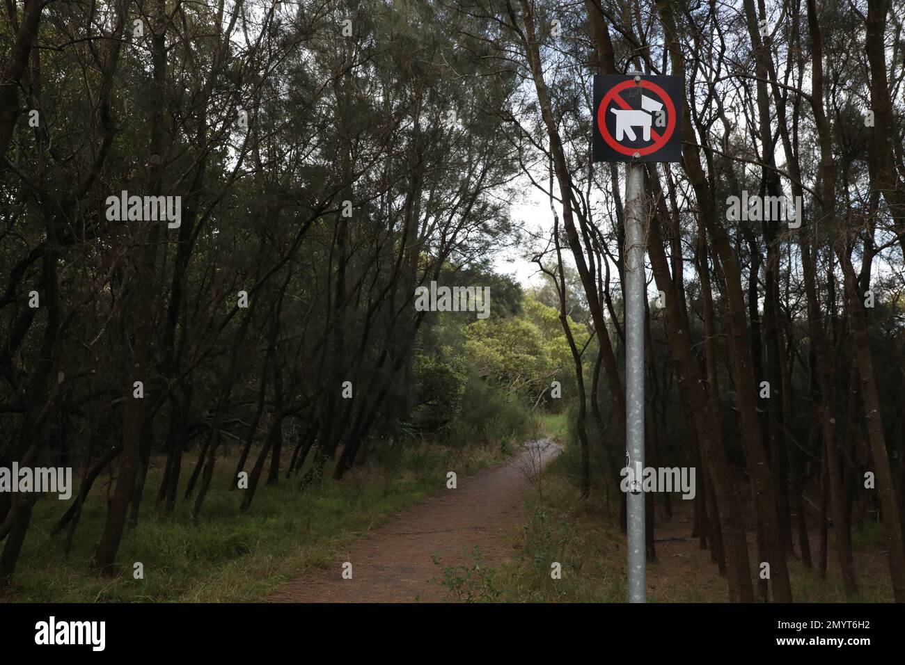 No dogs sign next to a track next to Billabong in Sydney Olympic Park. Stock Photo