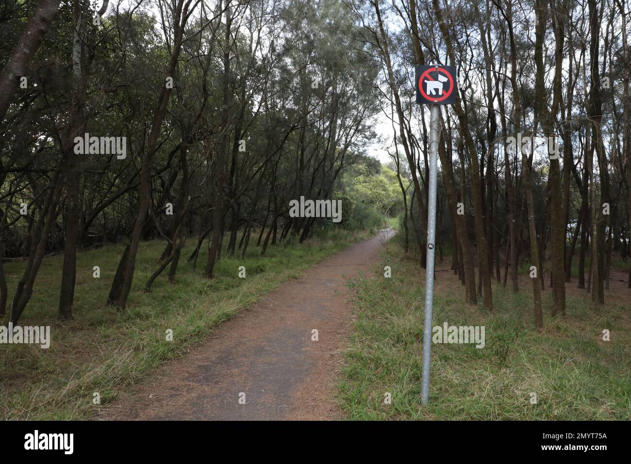 No dogs sign next to a track next to Billabong in Sydney Olympic Park. Stock Photo
