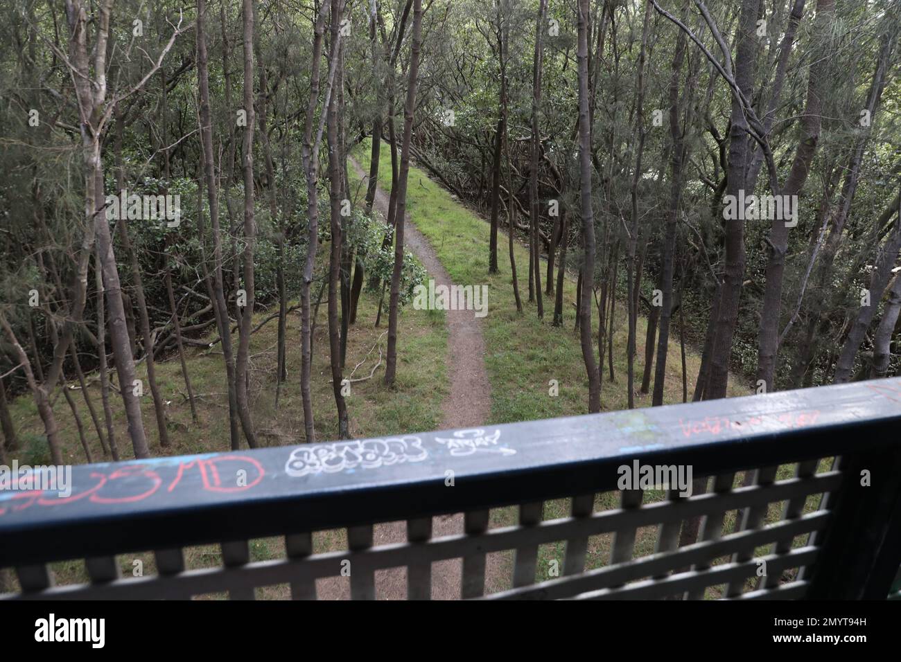 View from on top of an observation tower in Sydney Olympic Park. Stock Photo