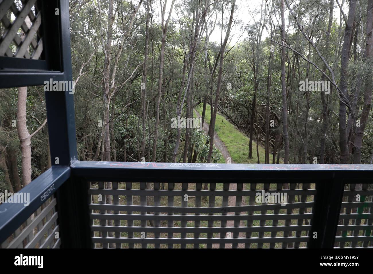 View from on top of an observation tower in Sydney Olympic Park. Stock Photo