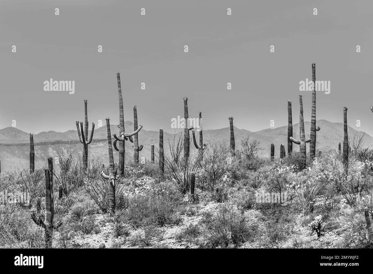 Arid background blue climate Black and White Stock Photos & Images - Alamy