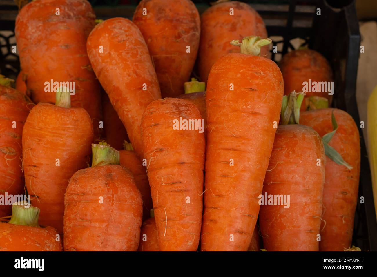 Carrots in a box hires stock photography and images Alamy