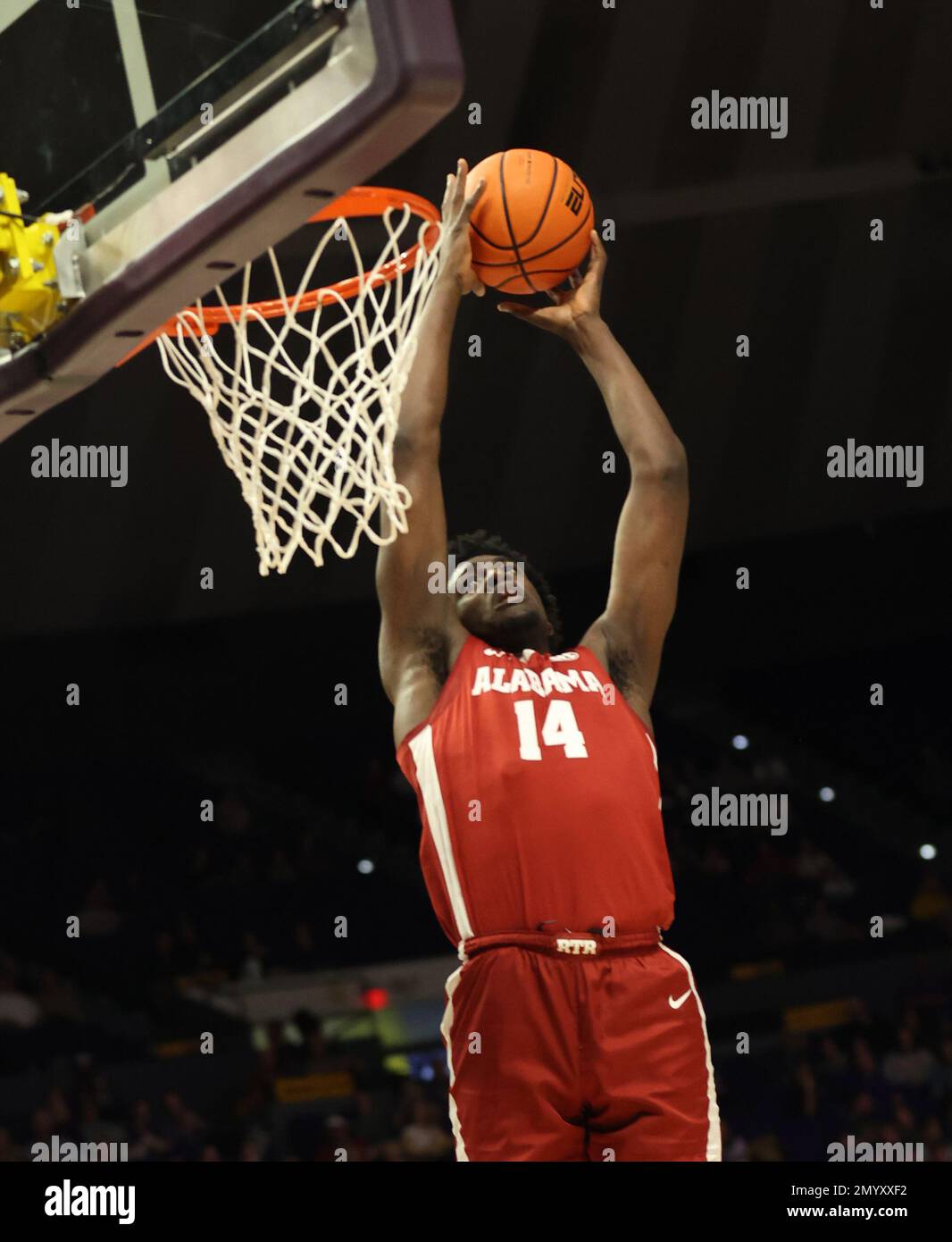Baton Rouge, USA. 04th Feb, 2023. Alabama Crimson Tide center Charles Bediako (14) takes a lobbed pass for a dunk during a men's college basketball game at the Pete Maravich Assembly Center in Baton Rouge, Louisiana on Saturday, February 4, 2023. (Photo by Peter G. Forest/Sipa USA) Credit: Sipa USA/Alamy Live News Stock Photo