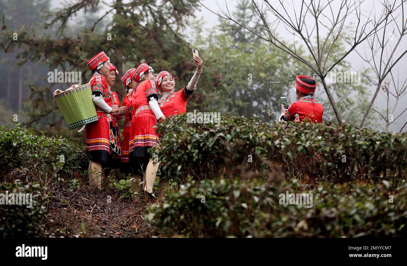 Spring tea hi-res stock photography and images - Alamy