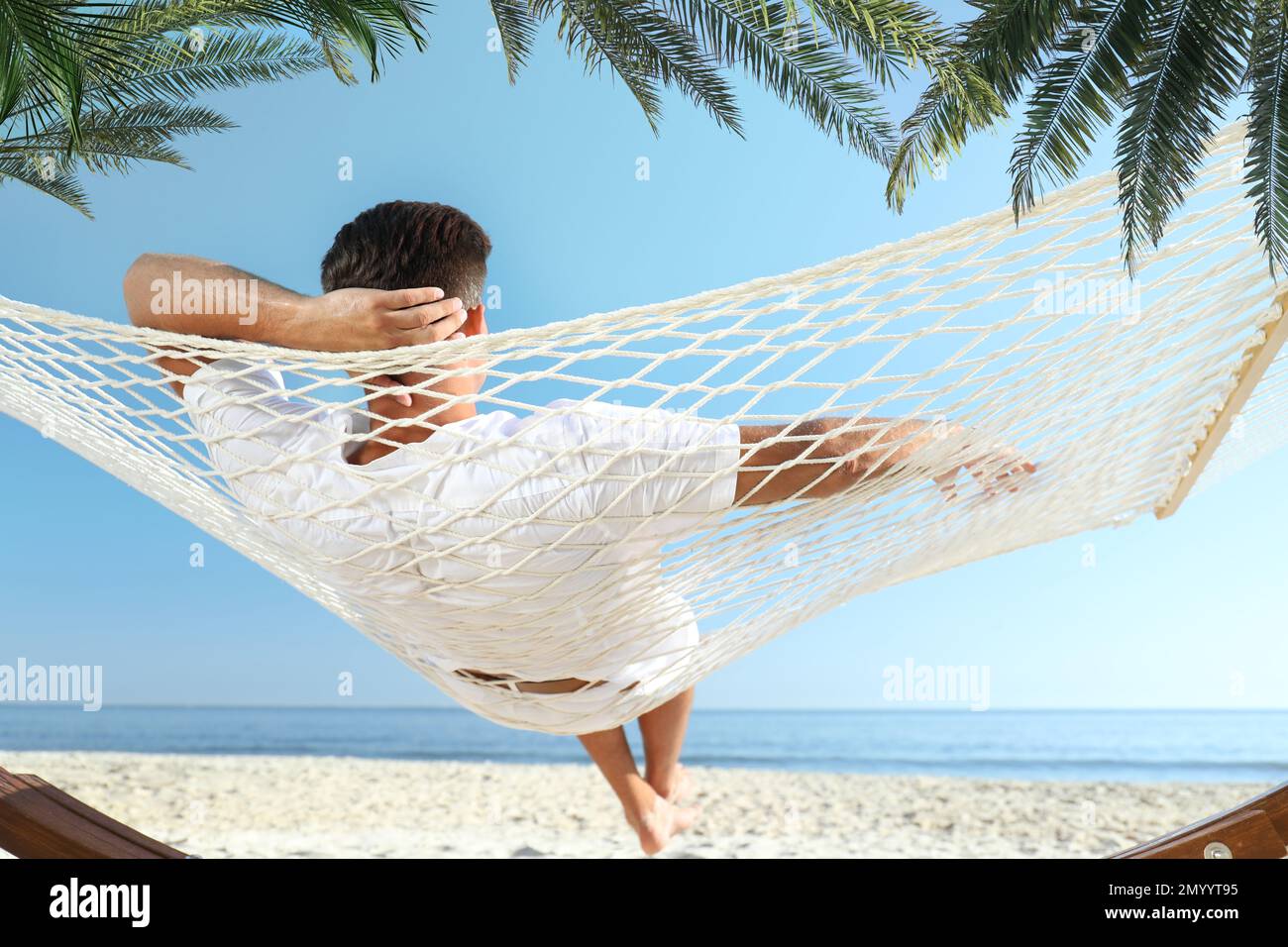 Man relaxing in hammock under green palm leaves on sunlit beach Stock ...
