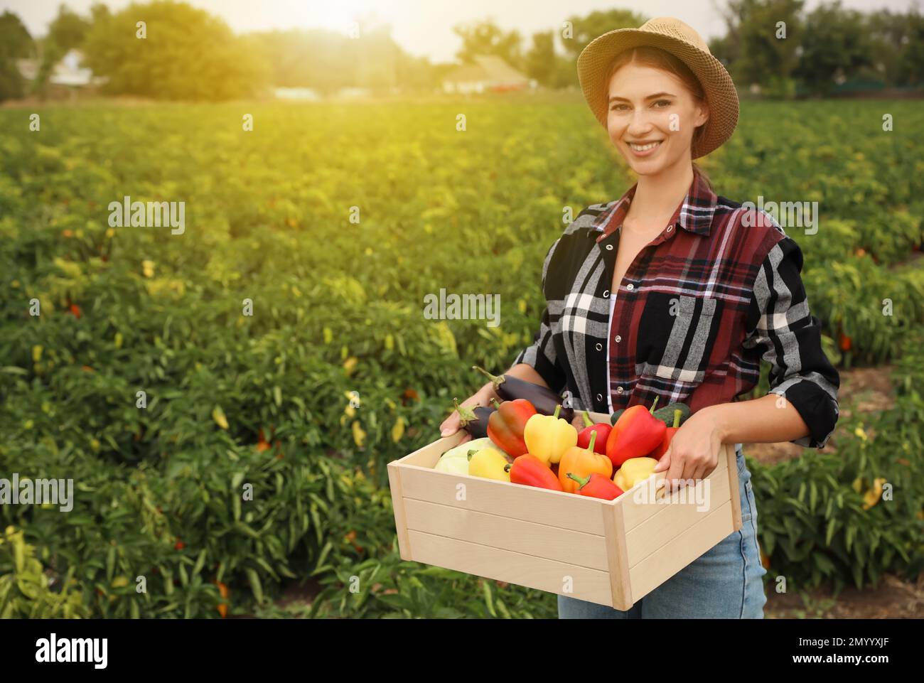 Farmer with wooden crate full of different vegetables in field ...