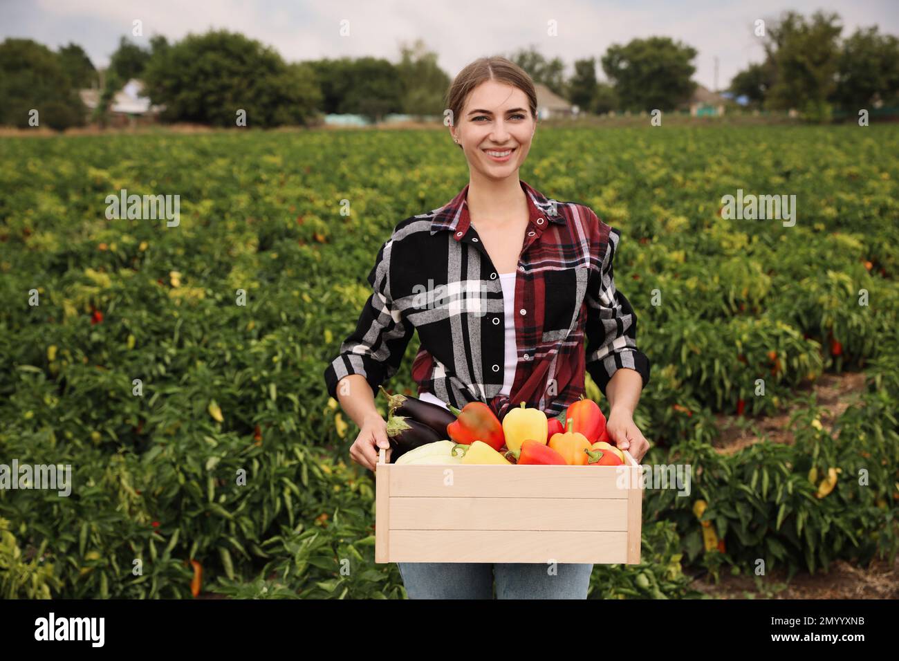 Farmer with wooden crate full of different vegetables in field ...
