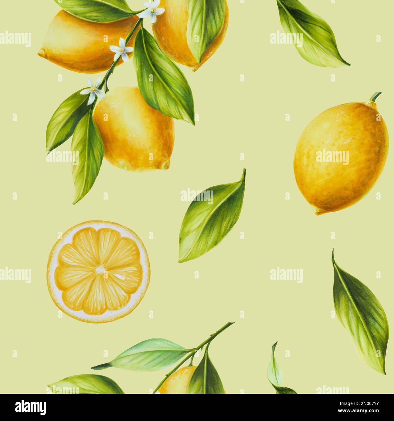Watercolor seamless pattern with fresh ripe lemon with bright green ...