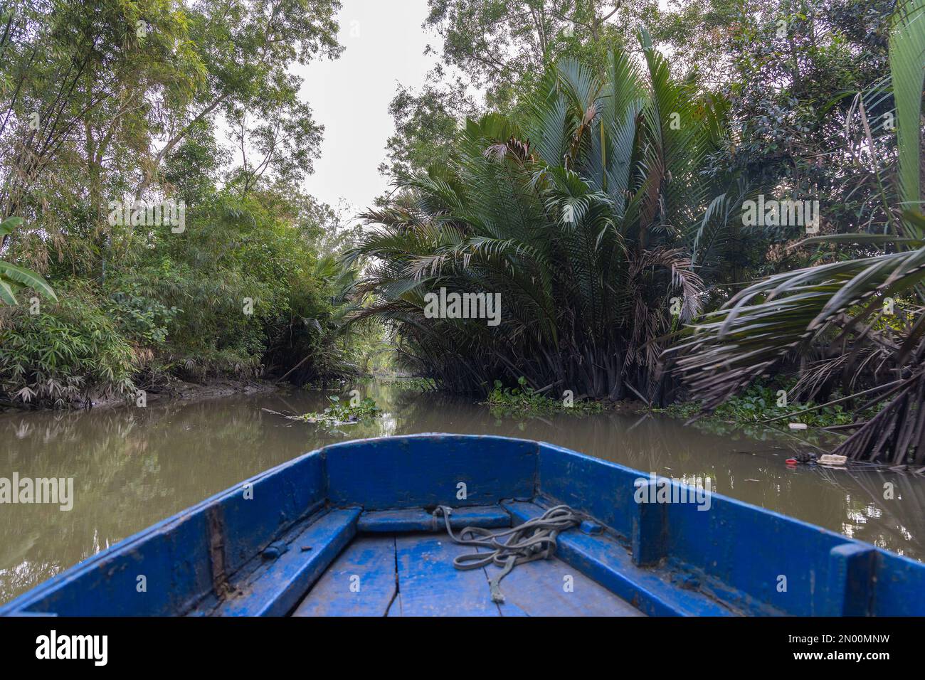Boats in the Mekong delta, Vietnam Stock Photo - Alamy