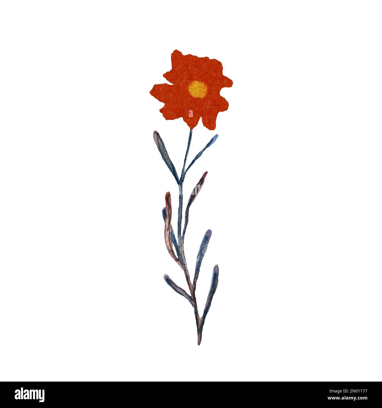 Sea flower red ocean water plant sketch watercolor Stock Photo - Alamy