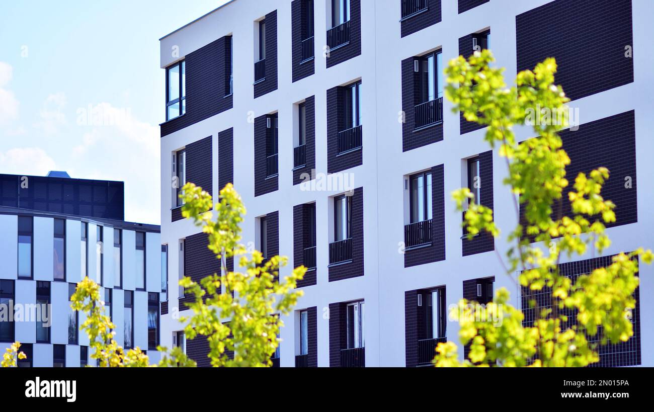 View of Apartments / Flats to Rent in Linbro Park - Property24