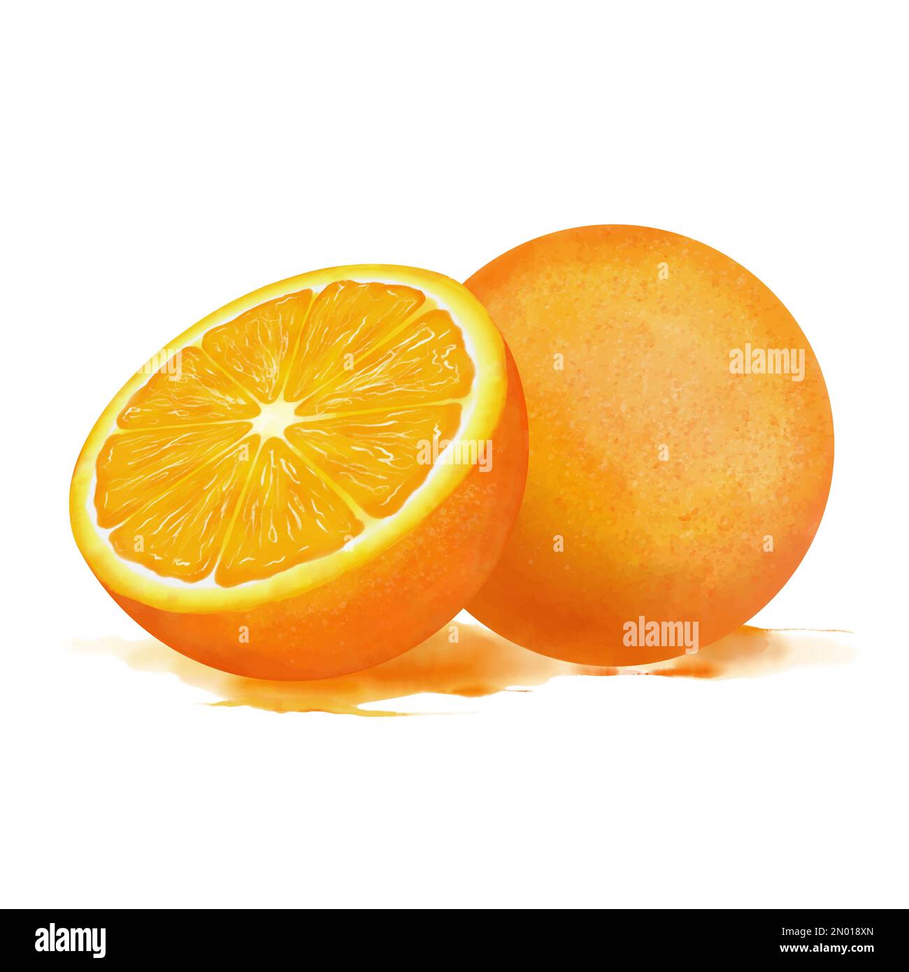 Oranges composition in watercolor. Fresh bright cut oranges in juicy