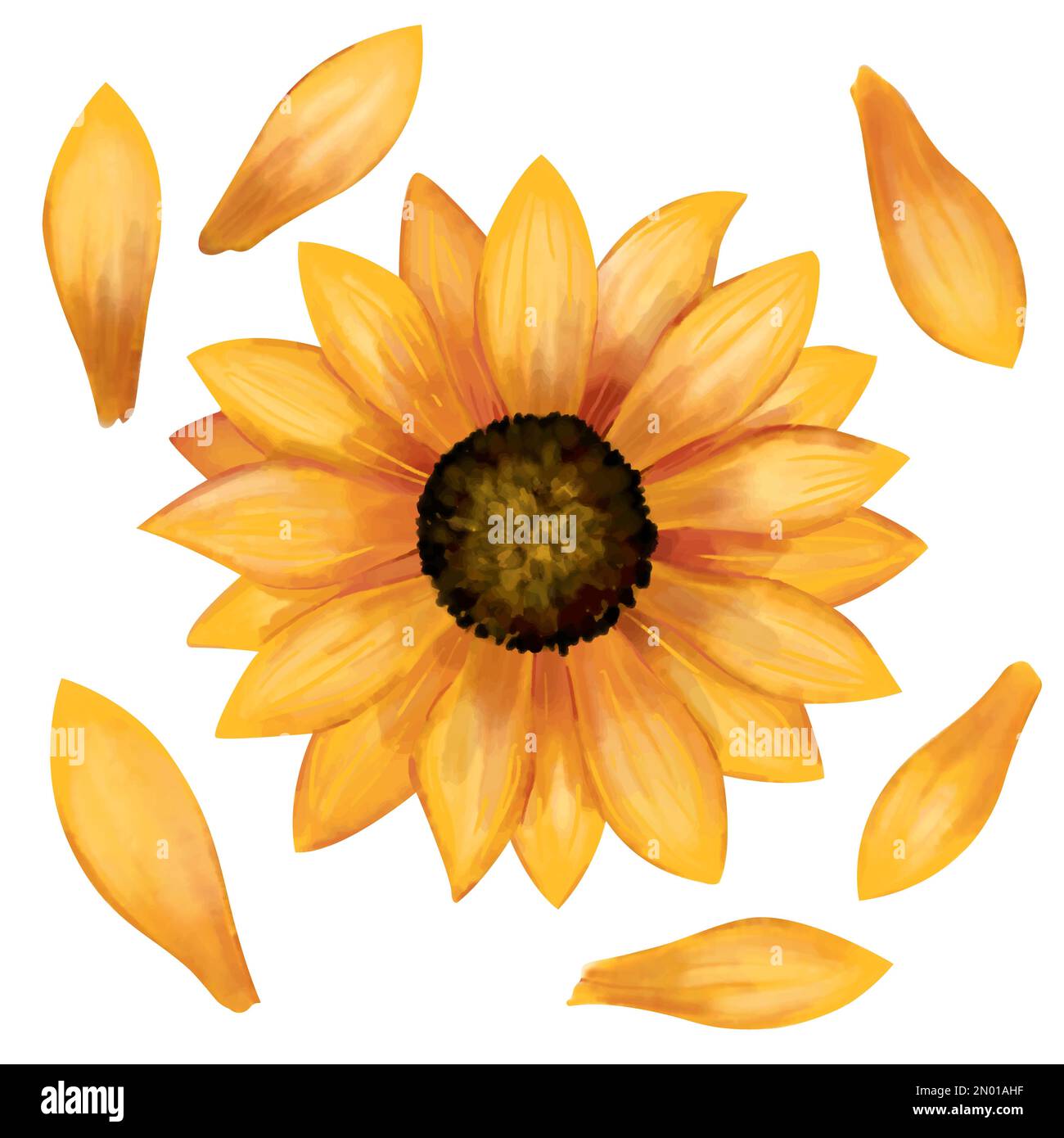 Sunflower watercolor set. Botanical decorative elements collection of sunflower head and petals isolated on white background. Stock Vector