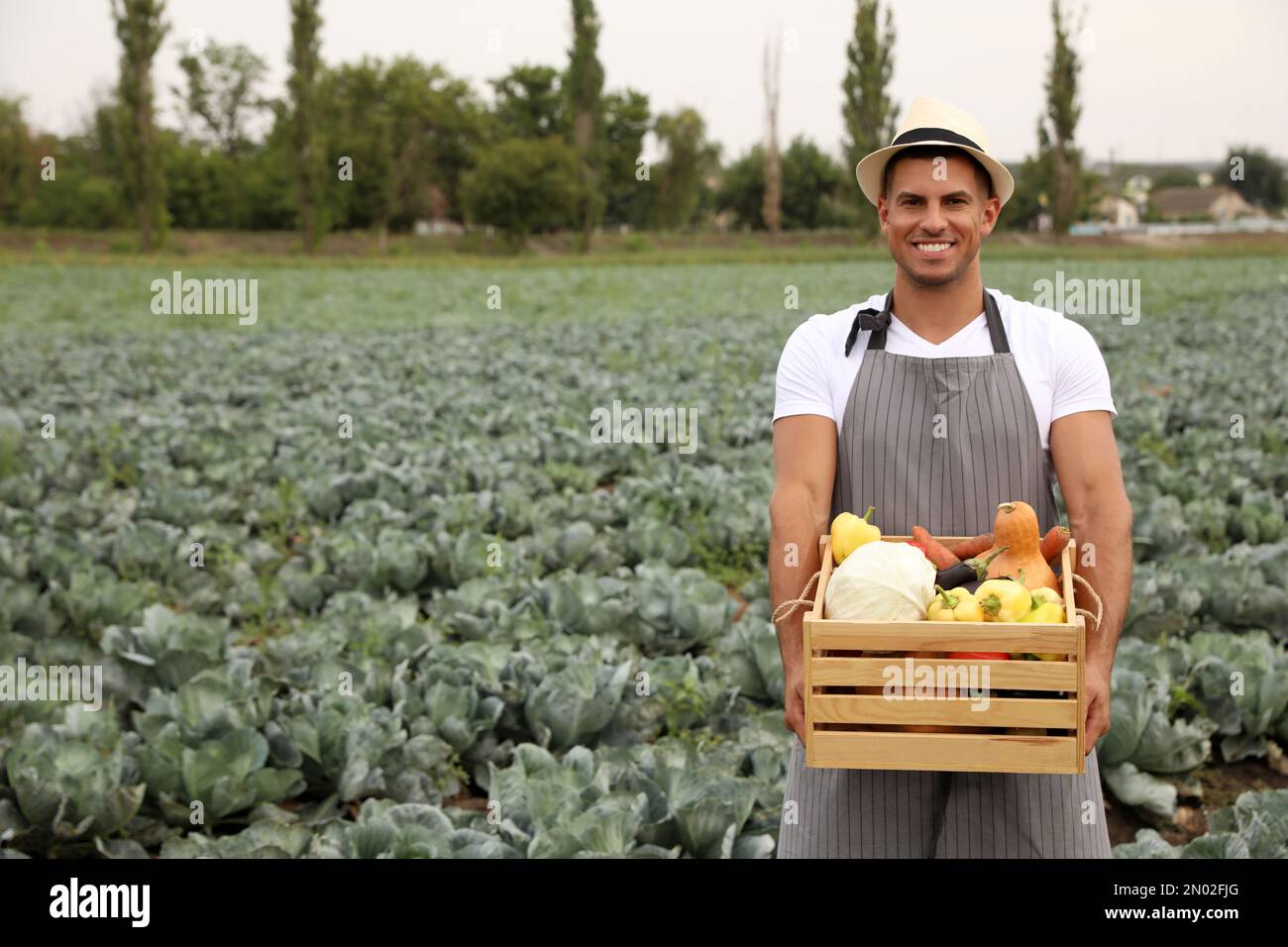 Farmer with wooden crate full of different vegetables in field ...