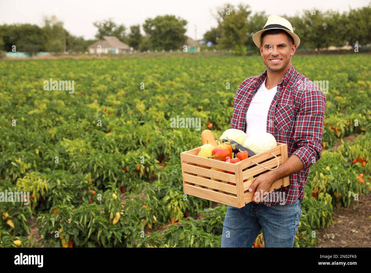 Farmer with wooden crate full of different vegetables in field ...