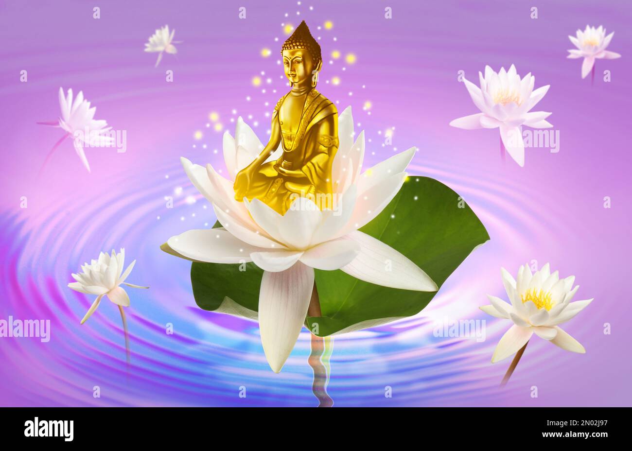 Buddha figure with lotus flowers on water Stock Photo Alamy